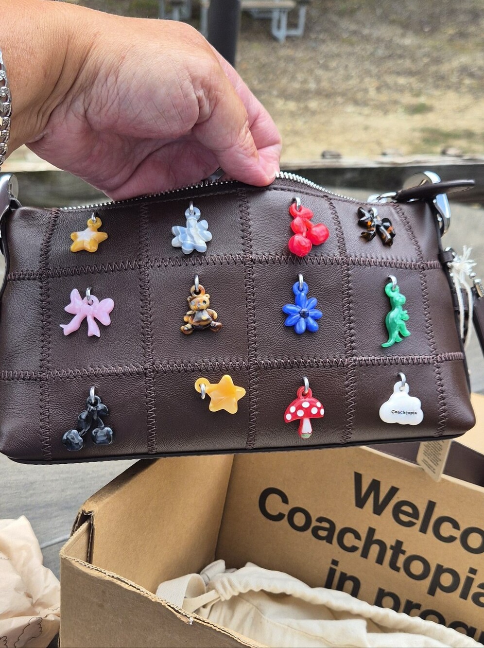 Coach Coachtopia Alter/ Ego Small Slouchy Bag in Maple w/ 12 charms CCM01 - Picture 2 of 13
